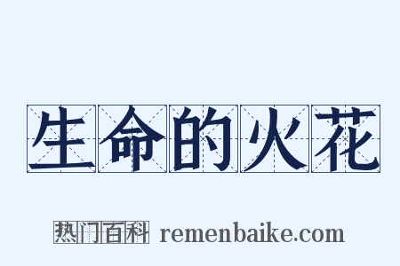 生命的火花是什么意思的图片